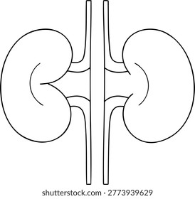 Simple line drawing illustrating the anatomy of human kidneys with renal artery and vein.