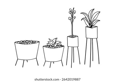 Simple line drawing illustration of various houseplants in stylish modern planters