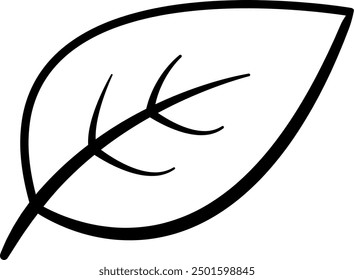 Simple line drawing of a leaf with prominent veins