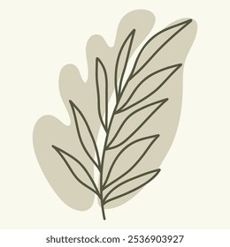 A simple line drawing of a leaf with a soft background.