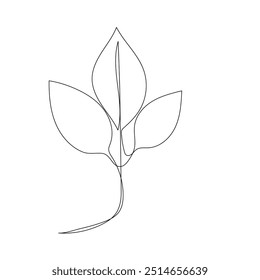 Simple line drawing of a leaf with three parts: one large central part and two smaller side parts. perfect for minimalistic art or botanical illustrations