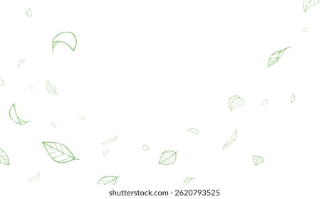 Simple line drawing of leaves falling in the air background illustration_16:9