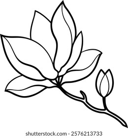 A simple line drawing of a magnolia branch. It features a blossomed flower with large petals and a closed bud. Black outlines on a white background. Botanical illustration.