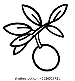A simple line drawing of an olive branch with leaves and an olive.