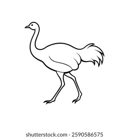 A simple line drawing of an ostrich bird walking, with long legs, a long neck, and a tail with feathers, in a minimalistic style