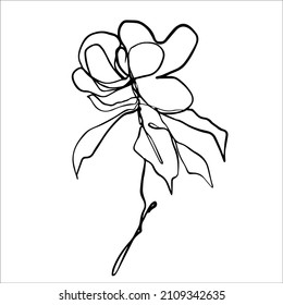 A simple line drawing of a peony flower.Vector graphics.