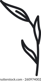 A simple line drawing of a plant stem with three leaves in a minimalist style. The artwork features clean lines depicting botanical elements with elegance. Cartoon vector illustration