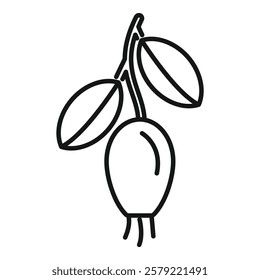 Simple line drawing of a rosehip growing on a branch with leaves