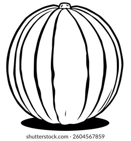 Simple Line Drawing Of A Round Ribbed Gourd