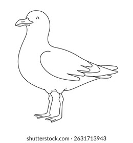 Simple Line Drawing of a Seagull Bird Illustration