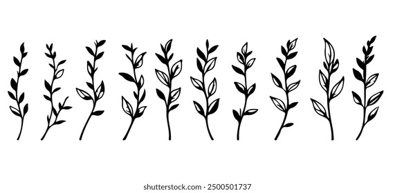 Simple Line Drawing Set Of Plants Black Sketch of Flowers Isolated on White Background. Flowers Linear Illustration. Minimalist Prints Set. Vector EPS 10.	