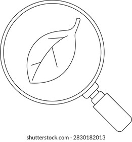 A simple line drawing shows a magnifying glass focused on a leaf, highlighting its veins and structure.