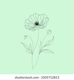 Simple line drawing of a single poppy flower on a light green background. 