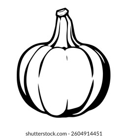 Simple Line Drawing Of A Single Pumpkin