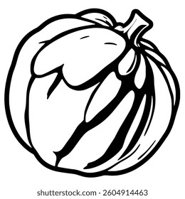 Simple Line Drawing Of A Single Round Pumpkin