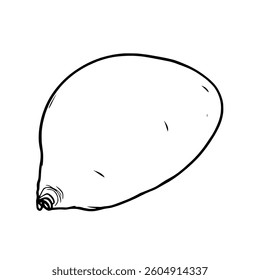 Simple Line Drawing Of A Single Sweet Potato
