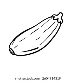 Simple Line Drawing Of A Single Zucchini Vegetable