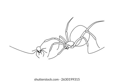 Simple line drawing of a spider observing another spider on a white background