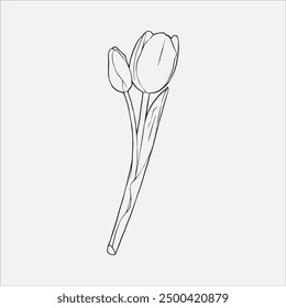 einfache Linienzeichnung einer Tulpenblume, kann als Logo oder Dekoration verwendet werden