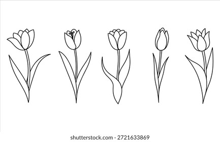 Dibujo de línea simple de tulipanes en diferentes etapas