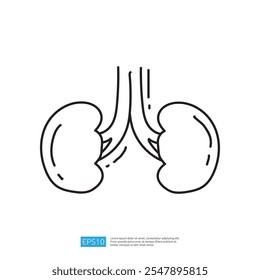 Un simple dibujo de línea de dos riñones, destacando su forma y estructura. La ilustración tiene un propósito educativo relacionado con la anatomía humana.