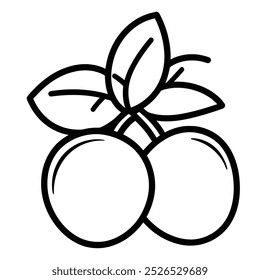 A simple line drawing of two oranges with leaves.