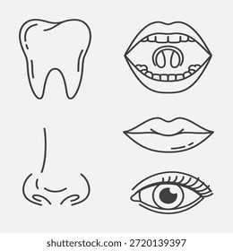 Dibujos de líneas simples de rasgos faciales y un diente, dispuestos verticalmente sobre un fondo blanco.