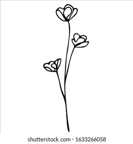 Simple line flowers. Spring flower outline. Isolated flower stock illustration.  Flower in bloom.  Black flower on white background.