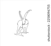 Simple line hand drawn mountain goat ibex