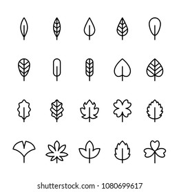 Simple line icon set of Leaf. Pixel perfect icons
