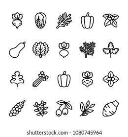 Simple line icon set of Vegetables. Pixel perfect icons