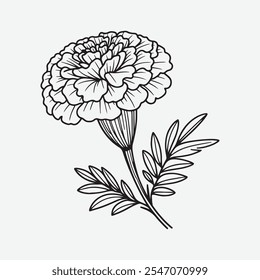 A simple line illustration of a marigold flower with a stem.