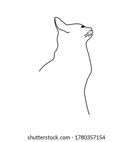 Simple line illustration outline cat, animal hand draw vector illustration for design and creativity