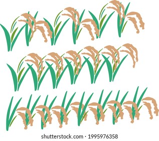 Simple line and line illustration of rice
