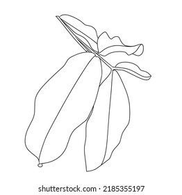 Una línea simple de hojas con fondo blanco