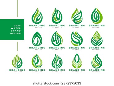 Simple line plant leaf water drop logo design bundle