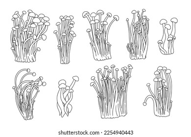 Simple line set of asian food. Enoki mushrooms is gourmet, medical, chinese nutrition. Vector graphic collection about healthy fungus.