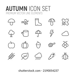 Conjunto simple de líneas de iconos de otoño. Objetos de primera calidad. Señales vectoriales aisladas en un fondo blanco. Envase de pictogramas de otoño.
