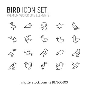 Conjunto simple de líneas de iconos de pájaro. Objetos de primera calidad. Señales vectoriales aisladas en un fondo blanco. Paquete de pictogramas de aves.