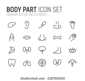 Simple line set of body part icons. Premium quality objects. Vector signs isolated on a white background. Pack of body part pictograms.