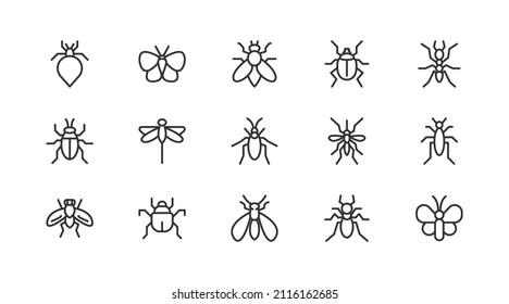 Simple line set of insect icons. Premium quality objects. Vector signs isolated on a white background. Pack of insect pictograms.