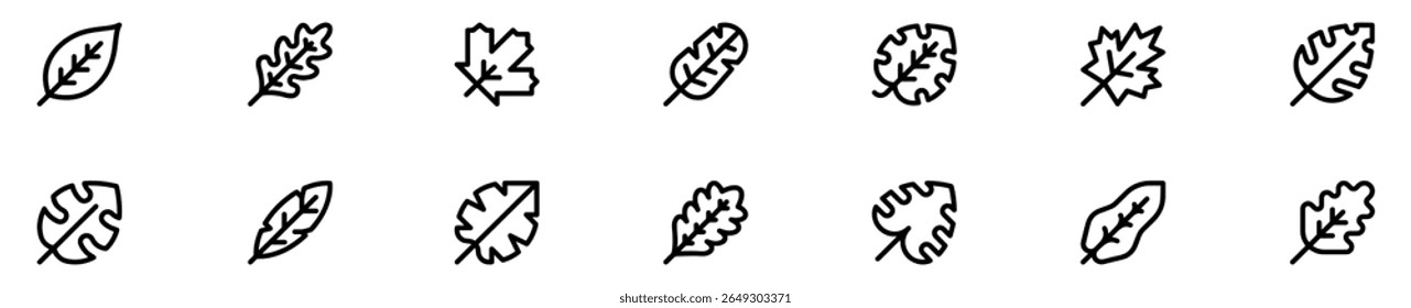 Simple line set of leaf icons. Leaves thin line icon set. Symbol collection in transparent background. Editable vector stroke. 