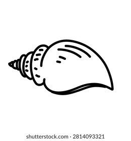 simple line sketch of a sea shell on a white background