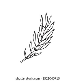 simple line tropical leaves logo icon design