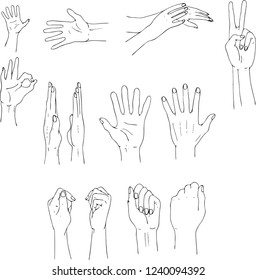 Simple line vector black and white hands gesture illustration