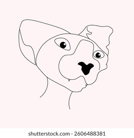 Simple line vector illustration of a cat with a light pink, misty rose background