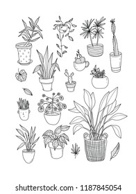 Simple line vector illustration with lovely home plants. Outline collection. Urban jungle style. Gardening. Succulent and cactus doodle.