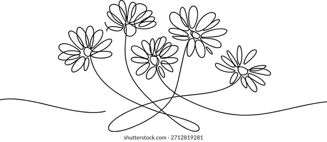 Simple Line of White Daisies on Curved Stems flowers