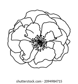 Simple linear drawing of a rosehip flower. Stylized vector graphics.
