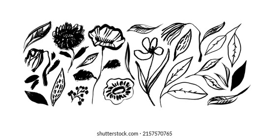 Simple linear flowers   herbs isolated white  Hand drawn vector botanical illustrations  Cute flowers   leaves cliparts  Vector set black ink drawing wild plants   herbs 
